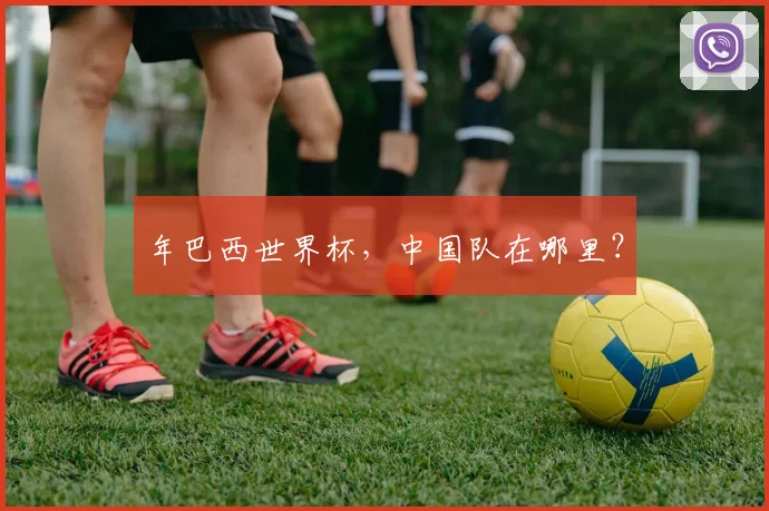 年巴西世界杯,中国队在哪里?