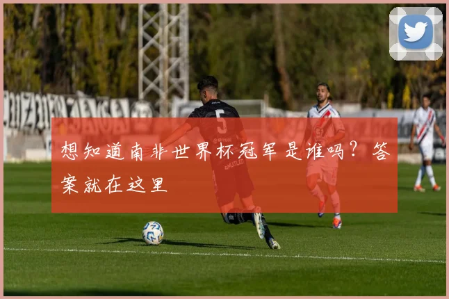 想知道南非世界杯冠军是谁吗？答案就在这里