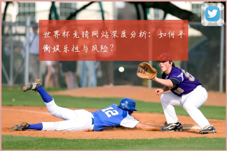 世界杯竞猜网站深度分析:如何平衡娱乐性与风险?