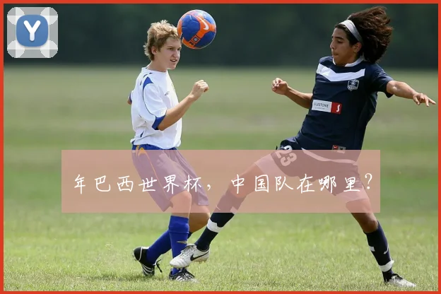 年巴西世界杯,中国队在哪里?