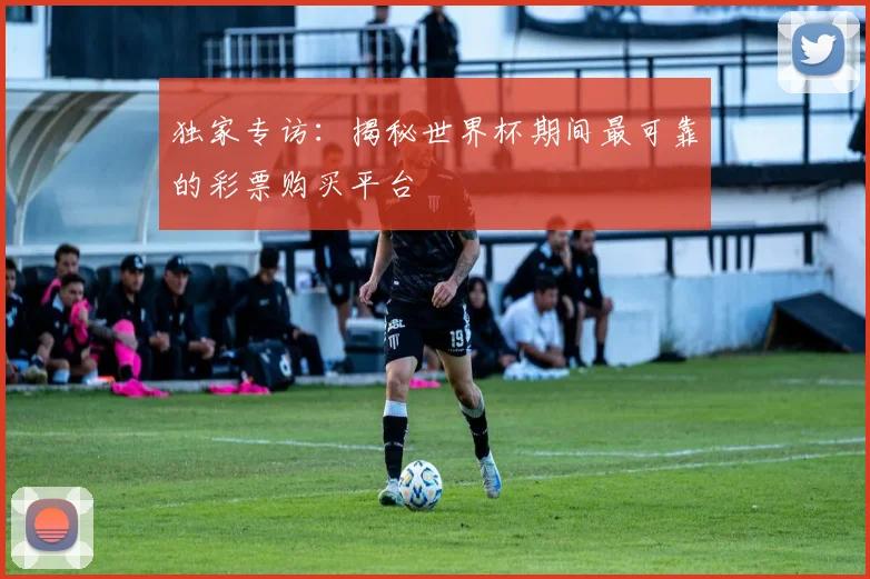 独家专访:揭秘世界杯期间最可靠的彩票购买平台