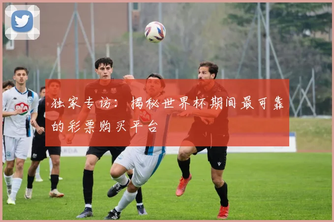 独家专访:揭秘世界杯期间最可靠的彩票购买平台