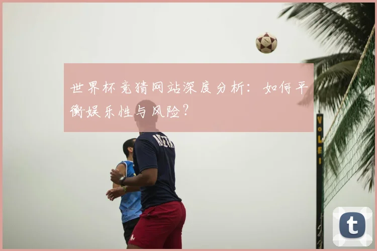 世界杯竞猜网站深度分析:如何平衡娱乐性与风险?