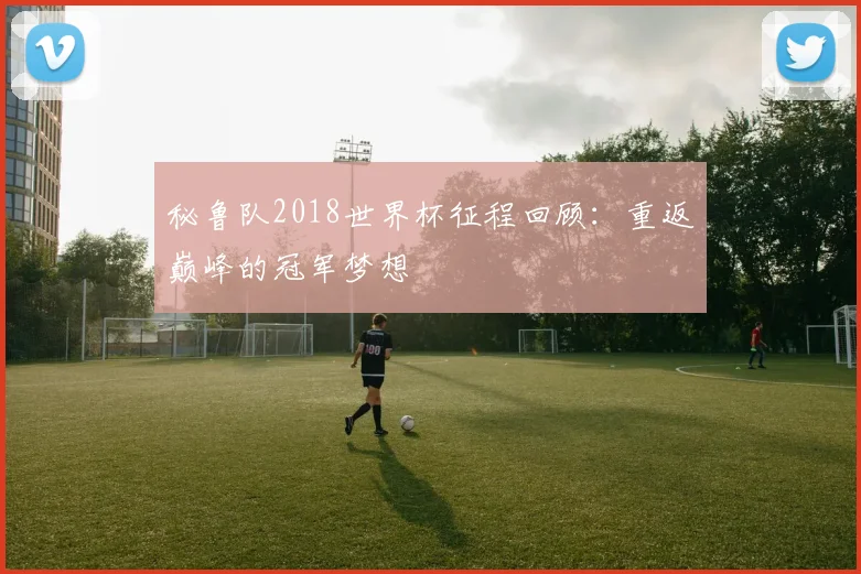 秘鲁队2018世界杯征程回顾：重返巅峰的冠军梦想